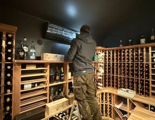 linus vinaggregat lint-on